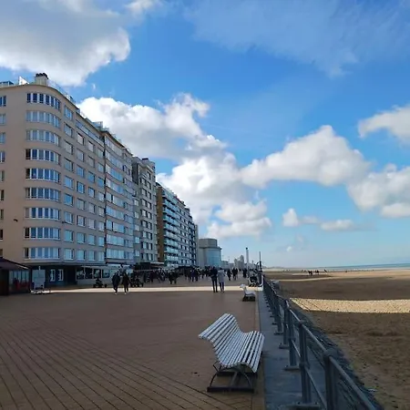 Hert Vlakbij Zee Apartment
